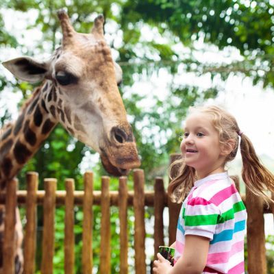 Crystal Community Squares Webpage