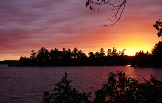 Crystal Website Images (1)