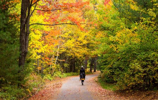 Crystal Website Images (8)