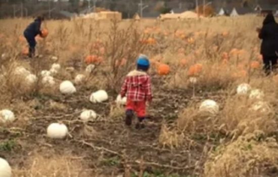 Crystal Website Images (9)