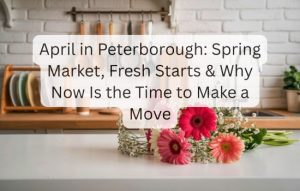 Crystal Website Images (4)